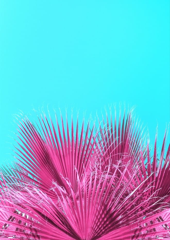 frame