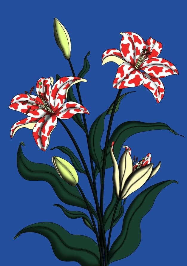 frame