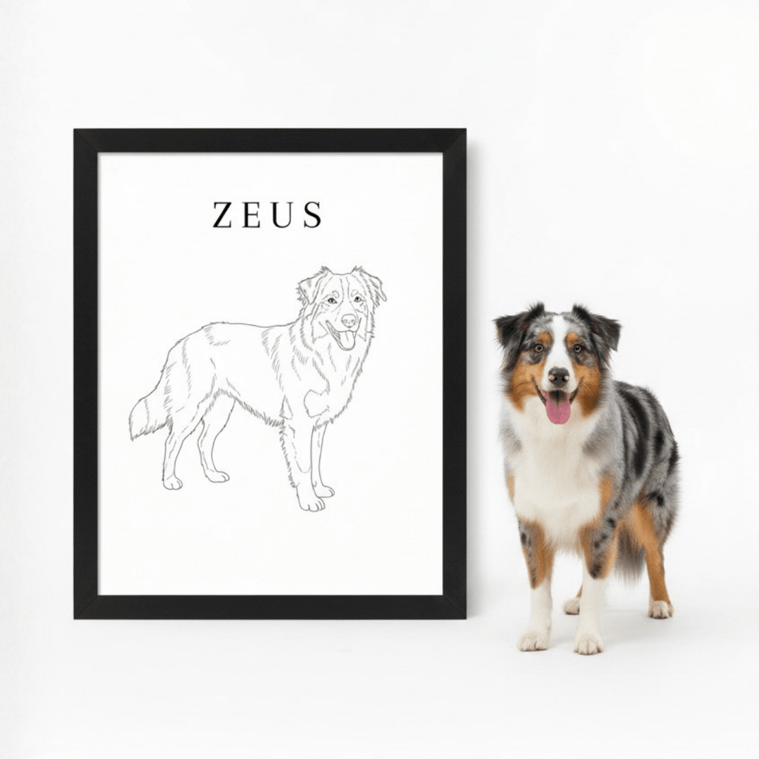 Line Art Pet Drawing Personalised Wall Art wall - art - picture - poster