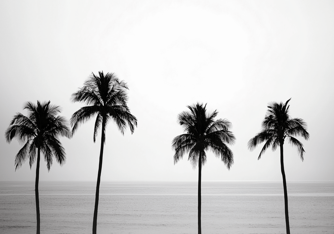 paradise coastal beach wall art black and white photograph frame