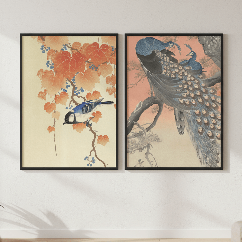 Peacock and Japanese Bird Woodblock Prints Duo by Ohara Koson wall - art - picture - poster