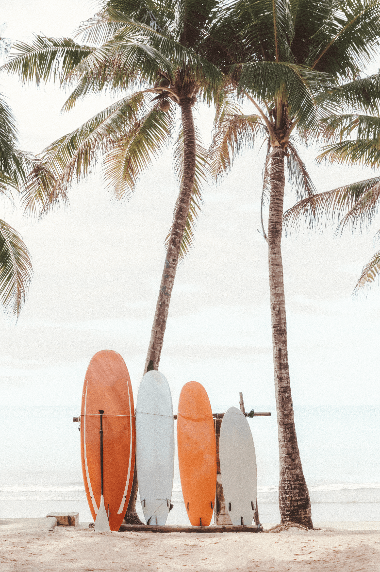 Vintage Surfboard Coastal Photograph frame