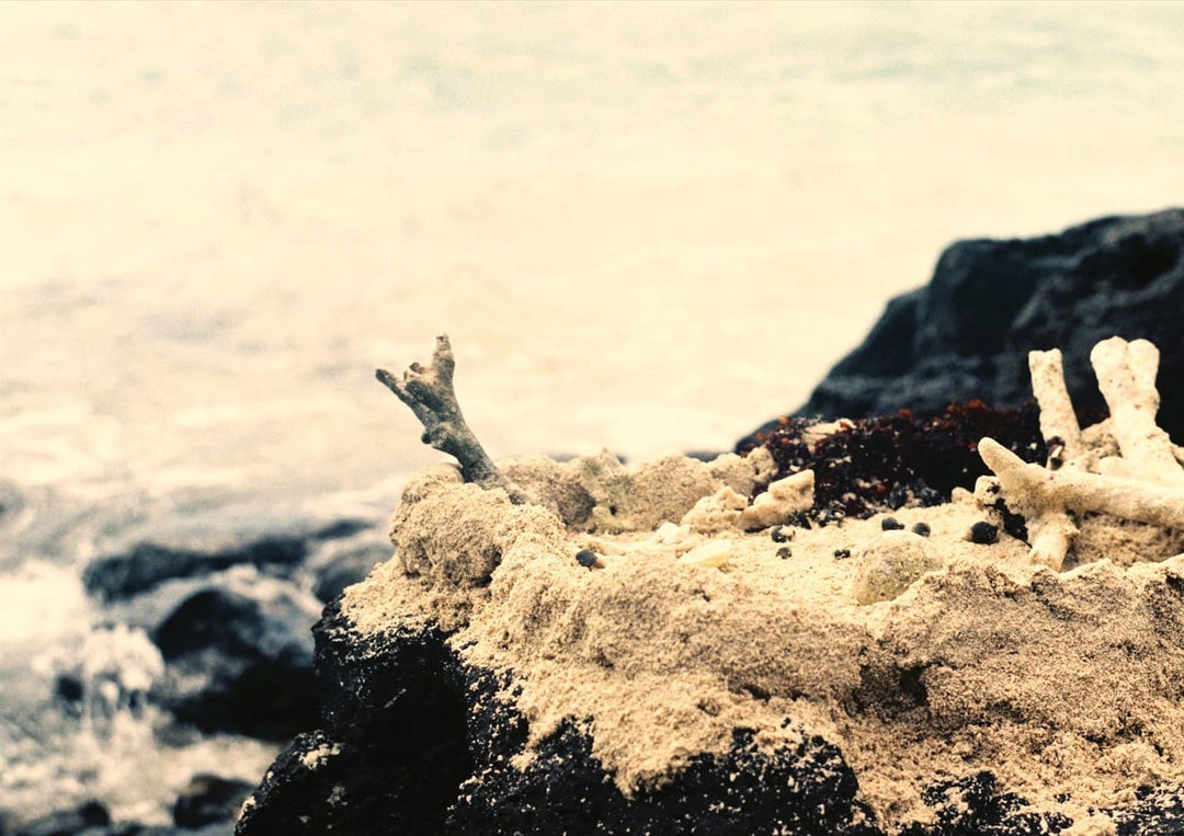frame